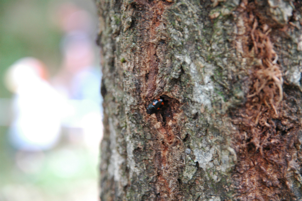 DSC_9141.jpg