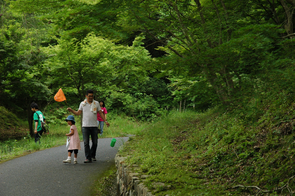 DSC_9146.jpg