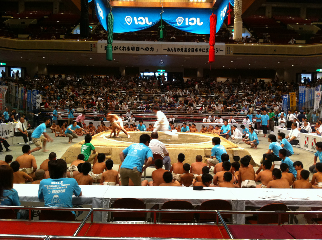IMG_3381.jpg IMG_3381.jpg